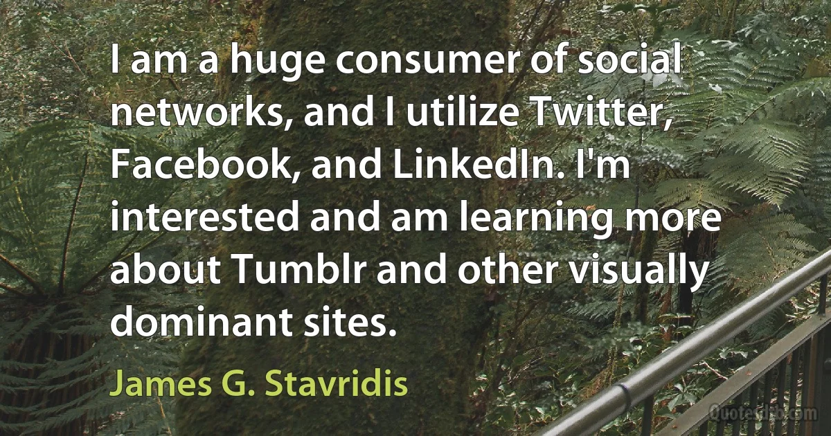 I am a huge consumer of social networks, and I utilize Twitter, Facebook, and LinkedIn. I'm interested and am learning more about Tumblr and other visually dominant sites. (James G. Stavridis)