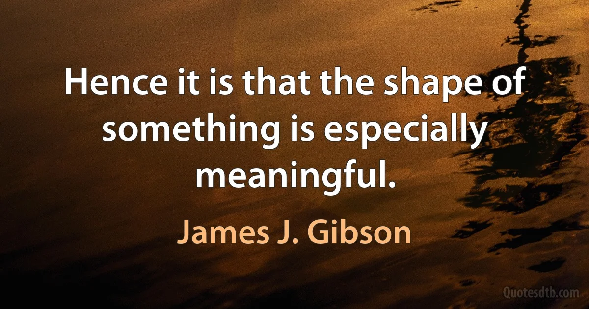 Hence it is that the shape of something is especially meaningful. (James J. Gibson)