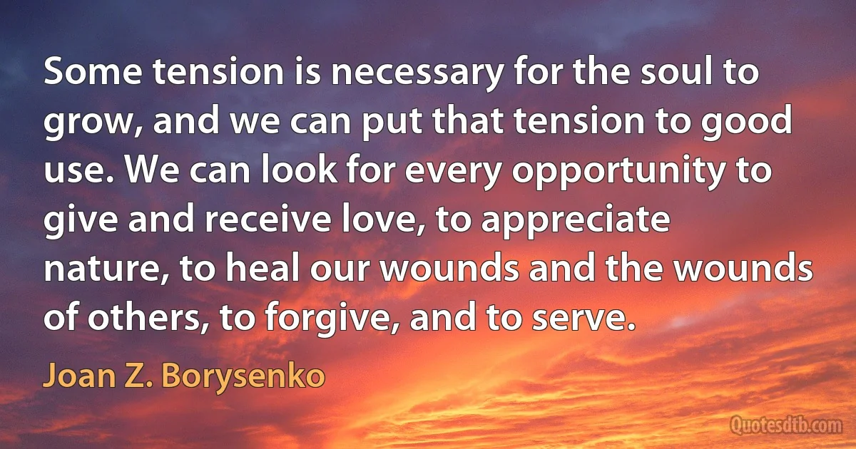 Some tension is necessary for the soul to grow, and we can put that tension to good use. We can look for every opportunity to give and receive love, to appreciate nature, to heal our wounds and the wounds of others, to forgive, and to serve. (Joan Z. Borysenko)