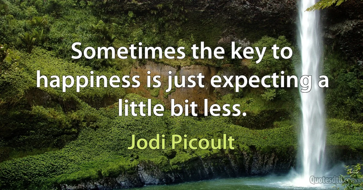 Sometimes the key to happiness is just expecting a little bit less. (Jodi Picoult)