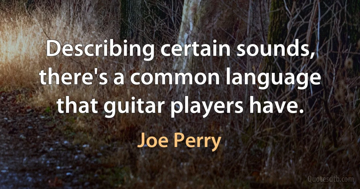 Describing certain sounds, there's a common language that guitar players have. (Joe Perry)