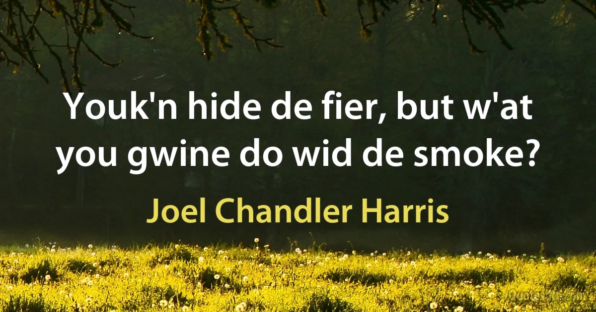 Youk'n hide de fier, but w'at you gwine do wid de smoke? (Joel Chandler Harris)