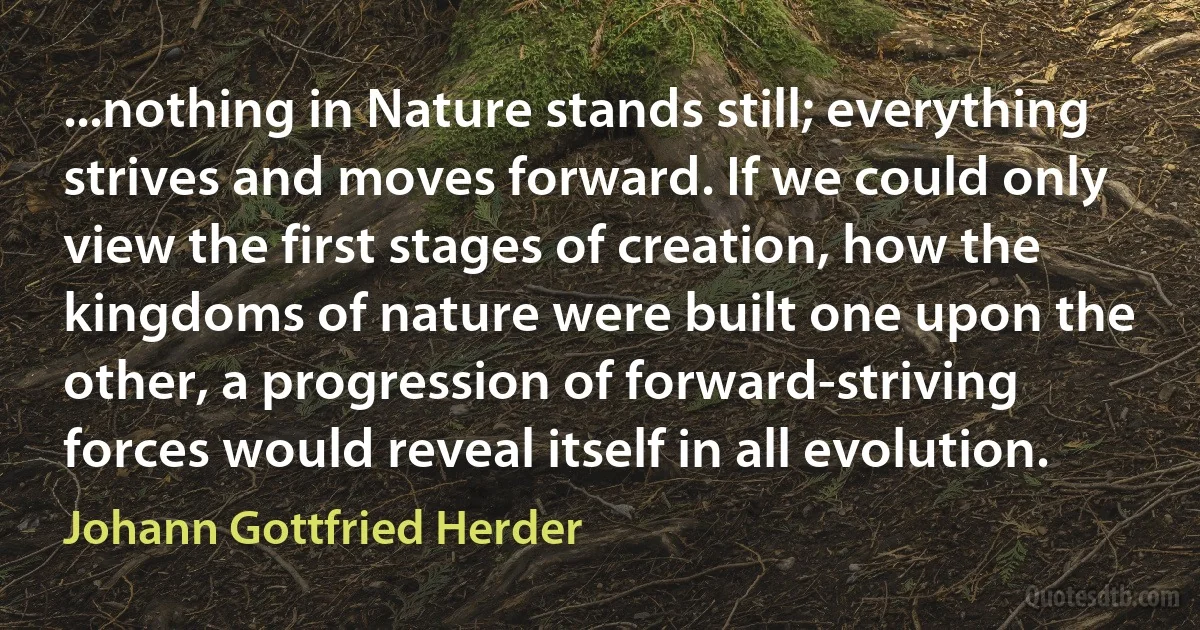 ...nothing in Nature stands still; everything strives and moves forward. If we could only view the first stages of creation, how the kingdoms of nature were built one upon the other, a progression of forward-striving forces would reveal itself in all evolution. (Johann Gottfried Herder)