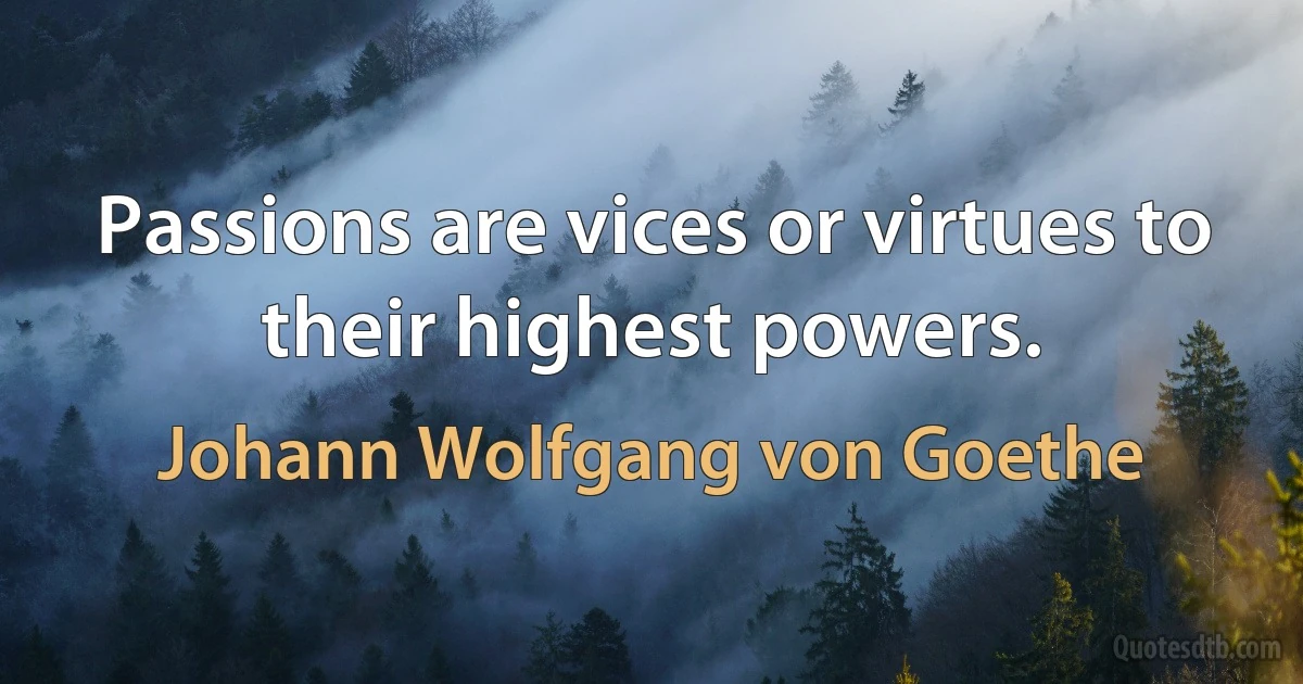 Passions are vices or virtues to their highest powers. (Johann Wolfgang von Goethe)