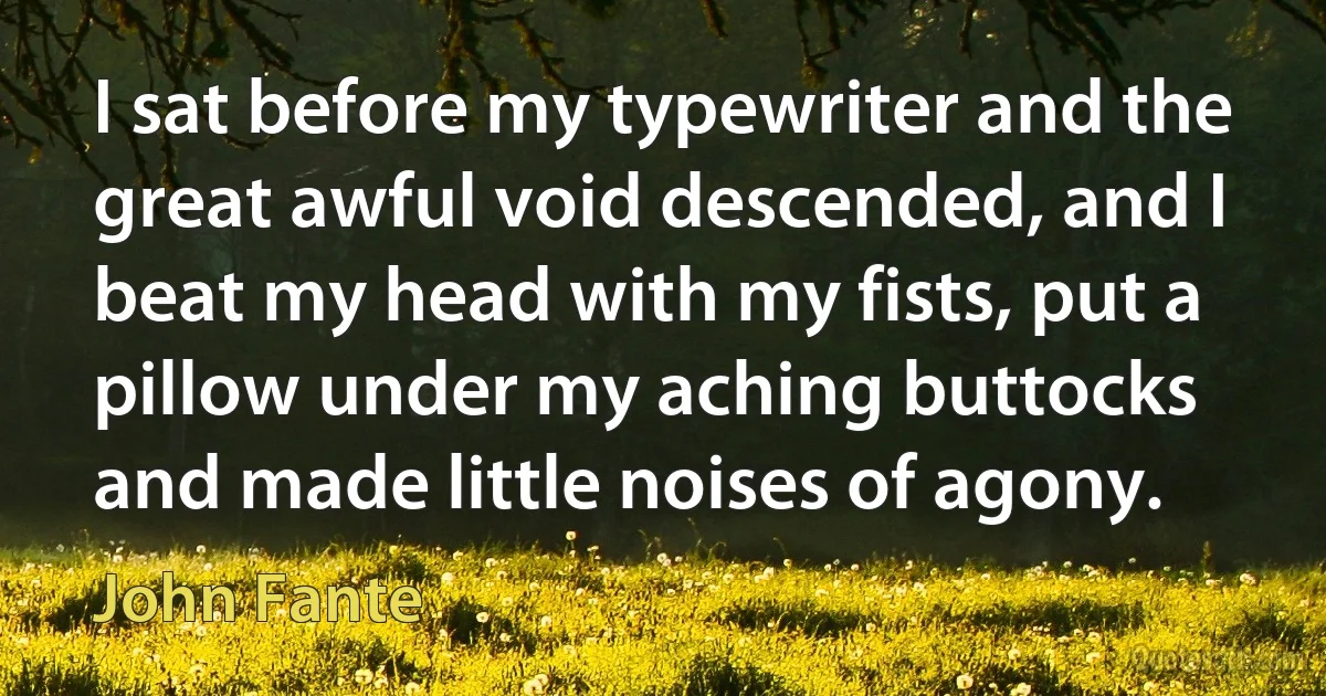 I sat before my typewriter and the great awful void descended, and I beat my head with my fists, put a pillow under my aching buttocks and made little noises of agony. (John Fante)