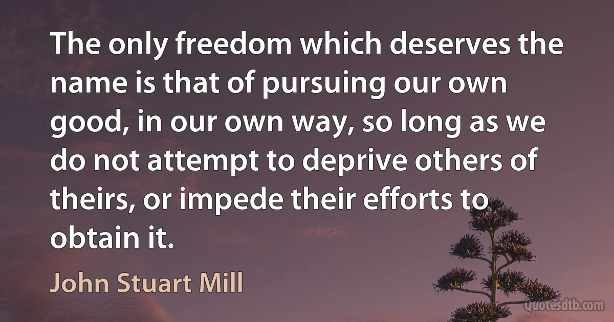 The only freedom which deserves the name is that of pursuing our own good, in our own way, so long as we do not attempt to deprive others of theirs, or impede their efforts to obtain it. (John Stuart Mill)