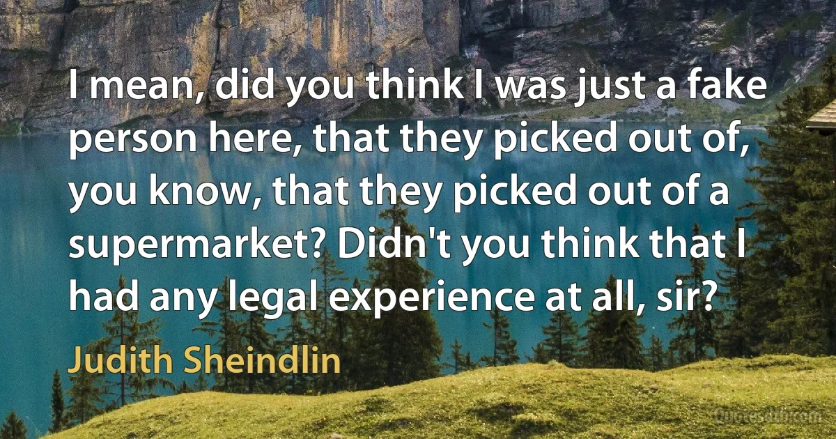 I mean, did you think I was just a fake person here, that they picked out of, you know, that they picked out of a supermarket? Didn't you think that I had any legal experience at all, sir? (Judith Sheindlin)