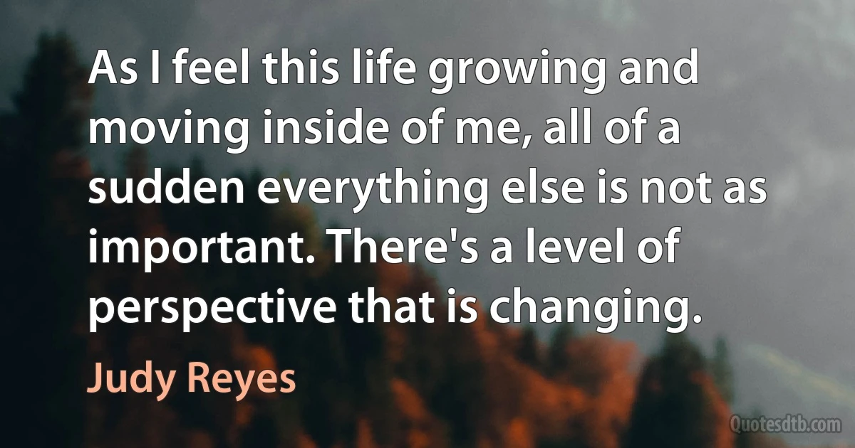 As I feel this life growing and moving inside of me, all of a sudden everything else is not as important. There's a level of perspective that is changing. (Judy Reyes)