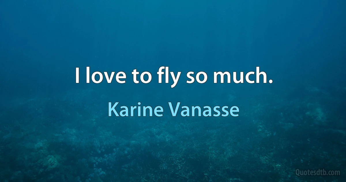 I love to fly so much. (Karine Vanasse)