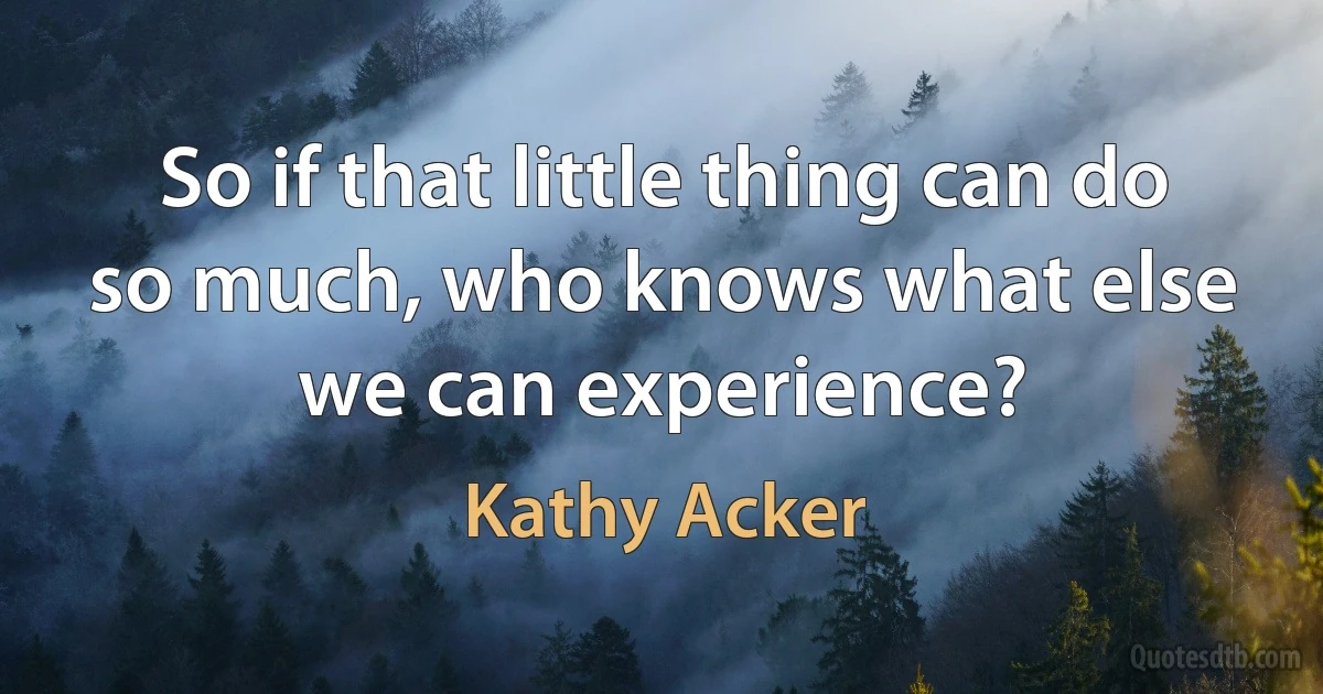 So if that little thing can do so much, who knows what else we can experience? (Kathy Acker)