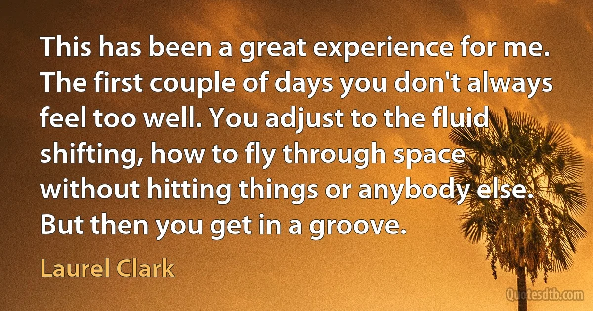 This has been a great experience for me. The first couple of days you don't always feel too well. You adjust to the fluid shifting, how to fly through space without hitting things or anybody else. But then you get in a groove. (Laurel Clark)