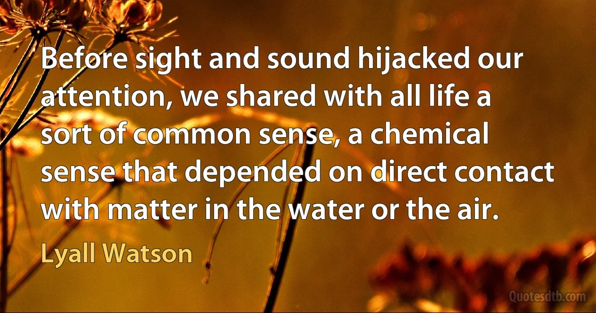 Before sight and sound hijacked our attention, we shared with all life a sort of common sense, a chemical sense that depended on direct contact with matter in the water or the air. (Lyall Watson)