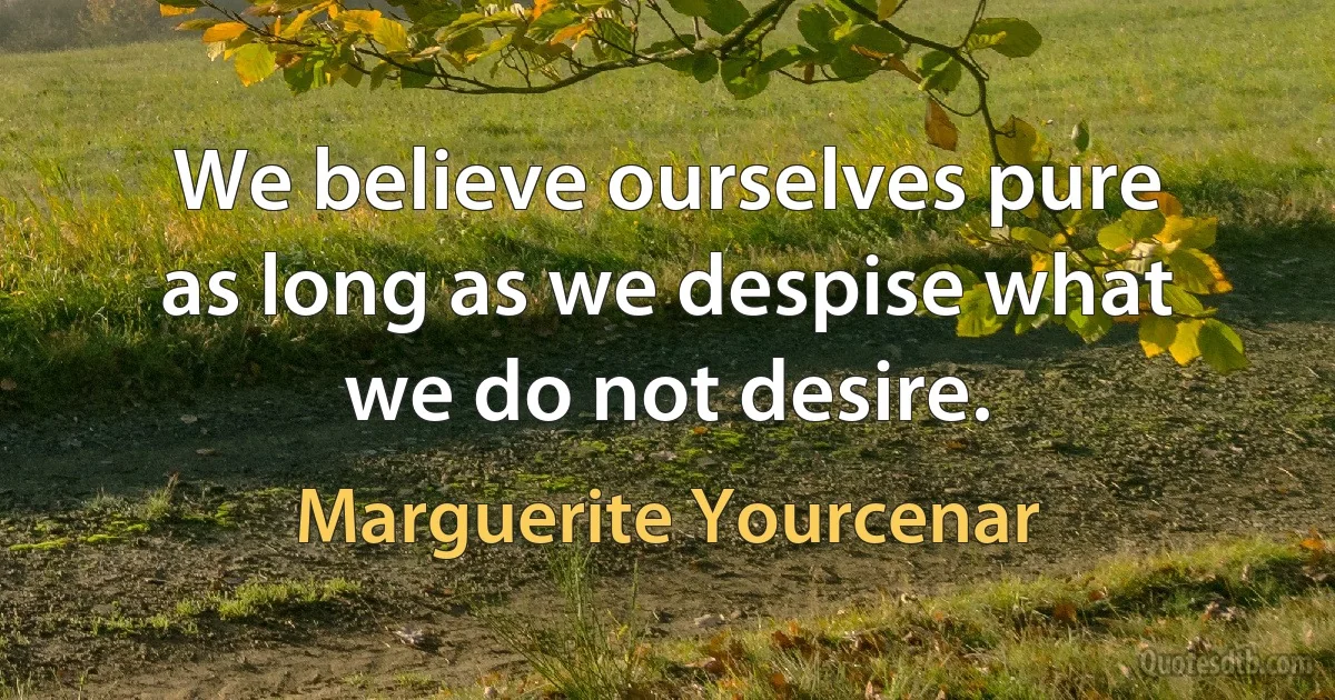 We believe ourselves pure as long as we despise what we do not desire. (Marguerite Yourcenar)