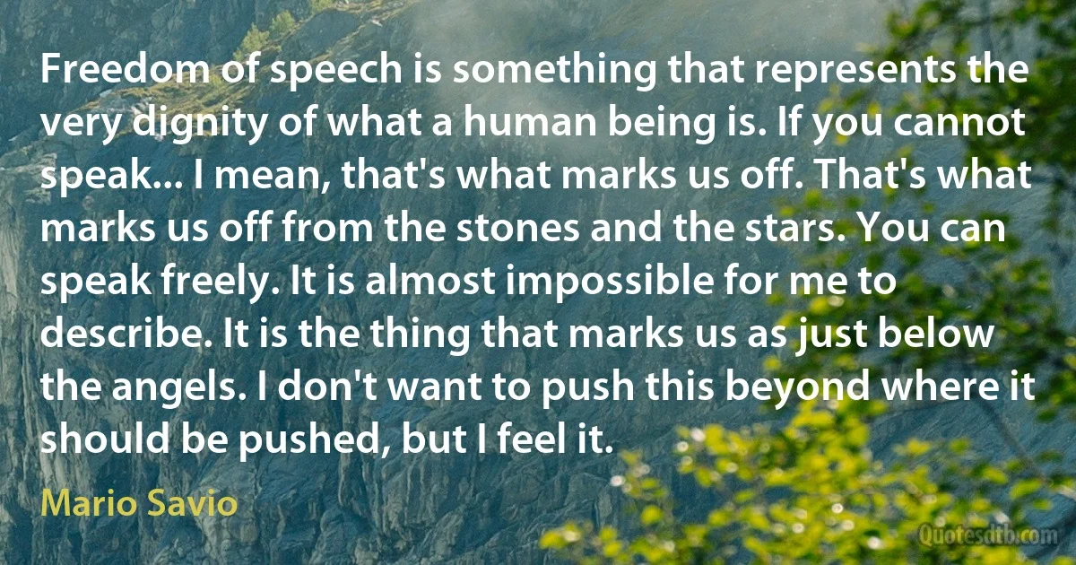 Freedom of speech is something that represents the very dignity of what a human being is. If you cannot speak... I mean, that's what marks us off. That's what marks us off from the stones and the stars. You can speak freely. It is almost impossible for me to describe. It is the thing that marks us as just below the angels. I don't want to push this beyond where it should be pushed, but I feel it. (Mario Savio)