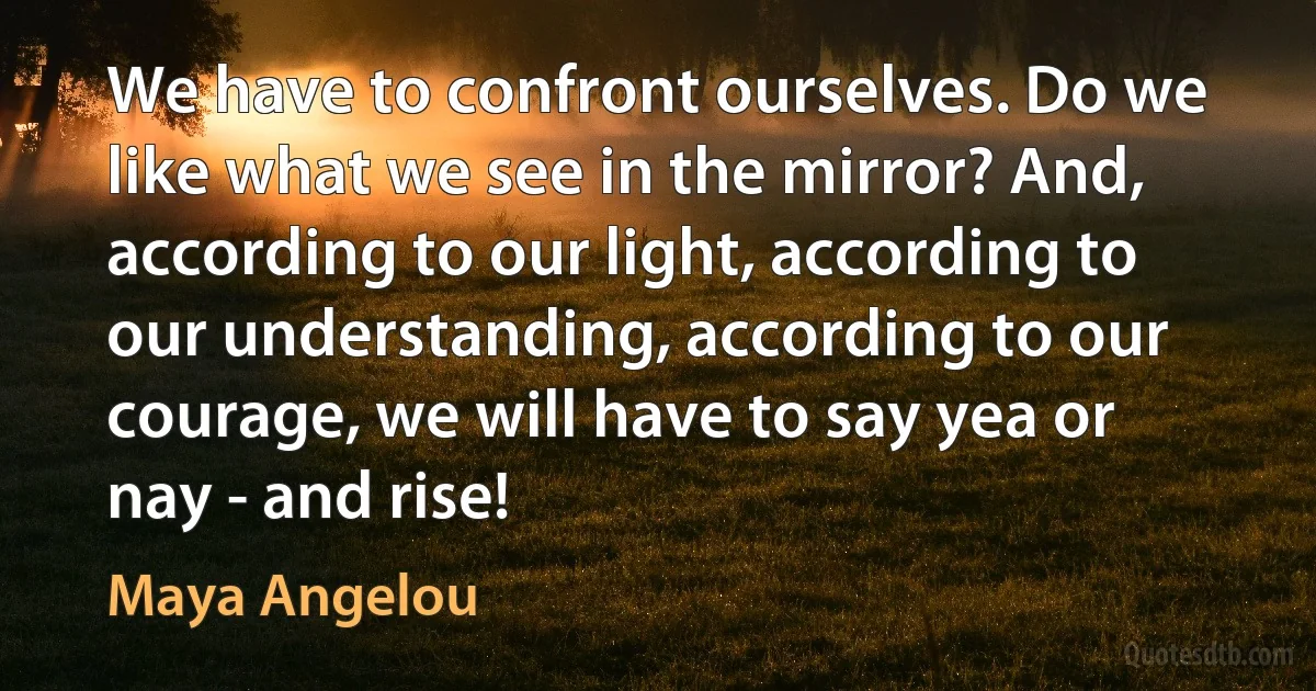 We have to confront ourselves. Do we like what we see in the mirror? And, according to our light, according to our understanding, according to our courage, we will have to say yea or nay - and rise! (Maya Angelou)