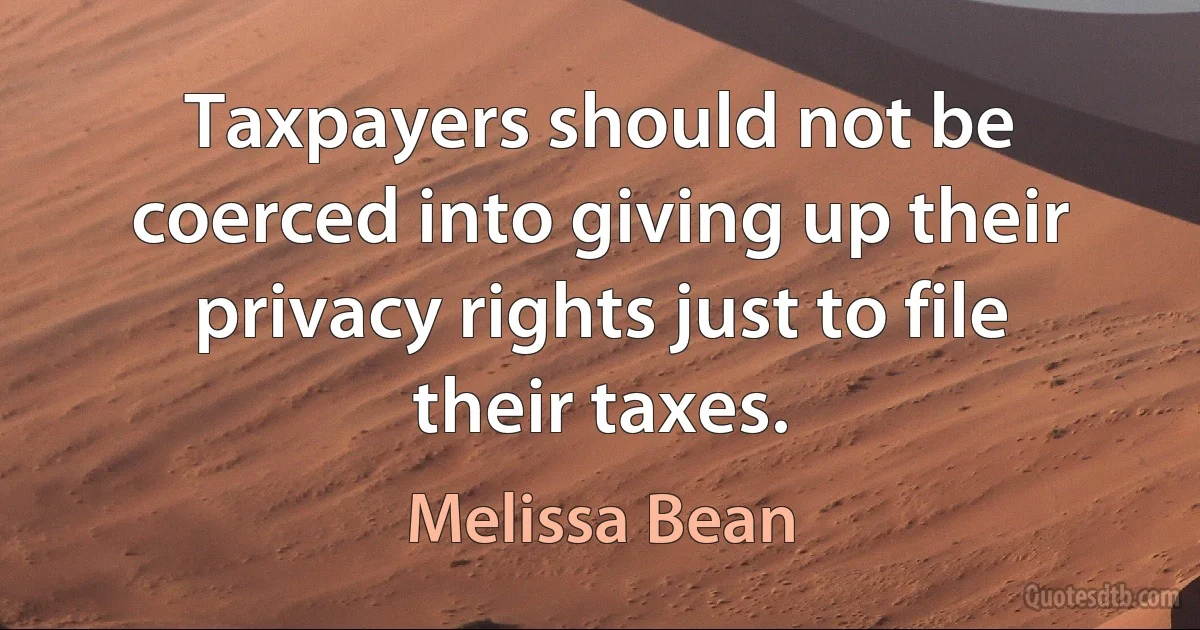 Taxpayers should not be coerced into giving up their privacy rights just to file their taxes. (Melissa Bean)