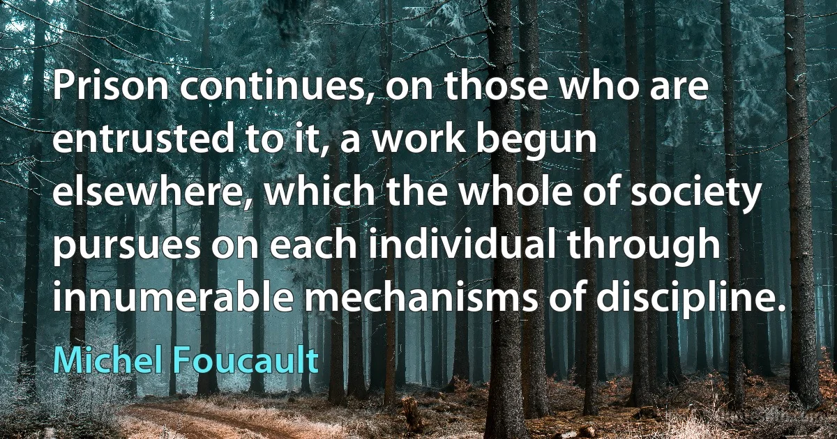 Prison continues, on those who are entrusted to it, a work begun elsewhere, which the whole of society pursues on each individual through innumerable mechanisms of discipline. (Michel Foucault)