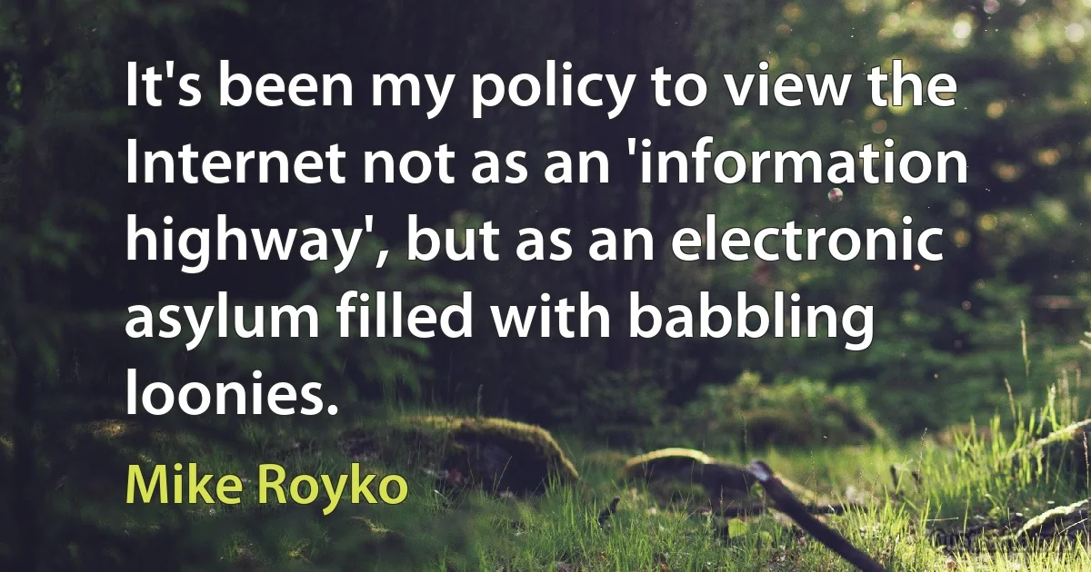 It's been my policy to view the Internet not as an 'information highway', but as an electronic asylum filled with babbling loonies. (Mike Royko)