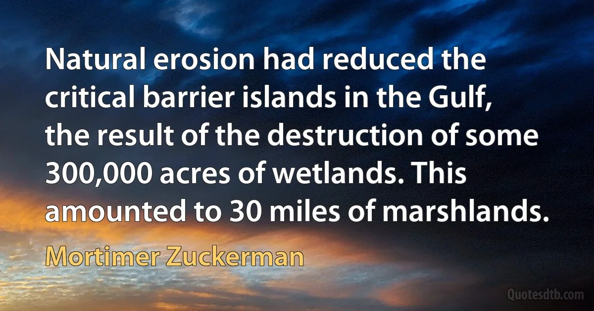 Natural erosion had reduced the critical barrier islands in the Gulf, the result of the destruction of some 300,000 acres of wetlands. This amounted to 30 miles of marshlands. (Mortimer Zuckerman)