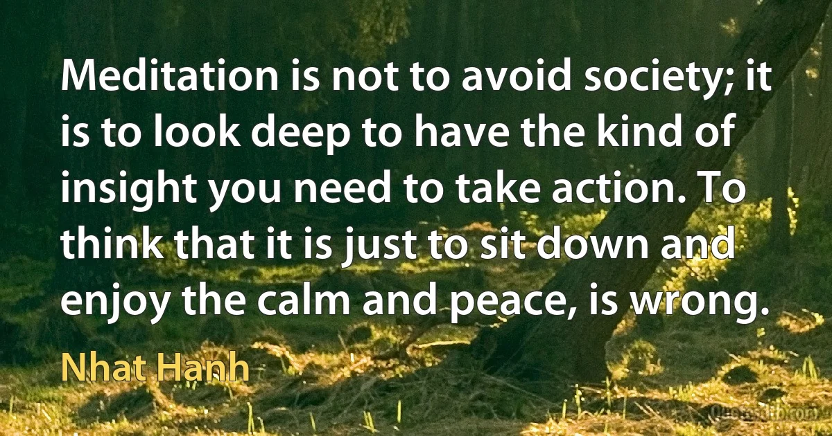 Meditation is not to avoid society; it is to look deep to have the kind of insight you need to take action. To think that it is just to sit down and enjoy the calm and peace, is wrong. (Nhat Hanh)