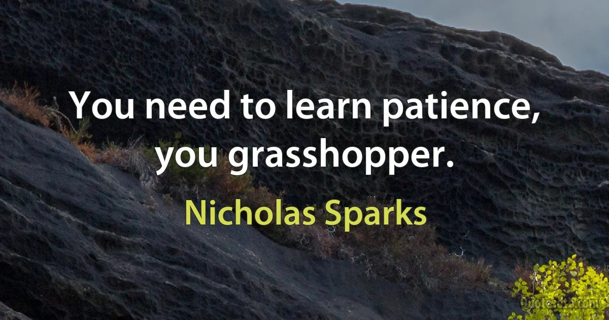 You need to learn patience, you grasshopper. (Nicholas Sparks)