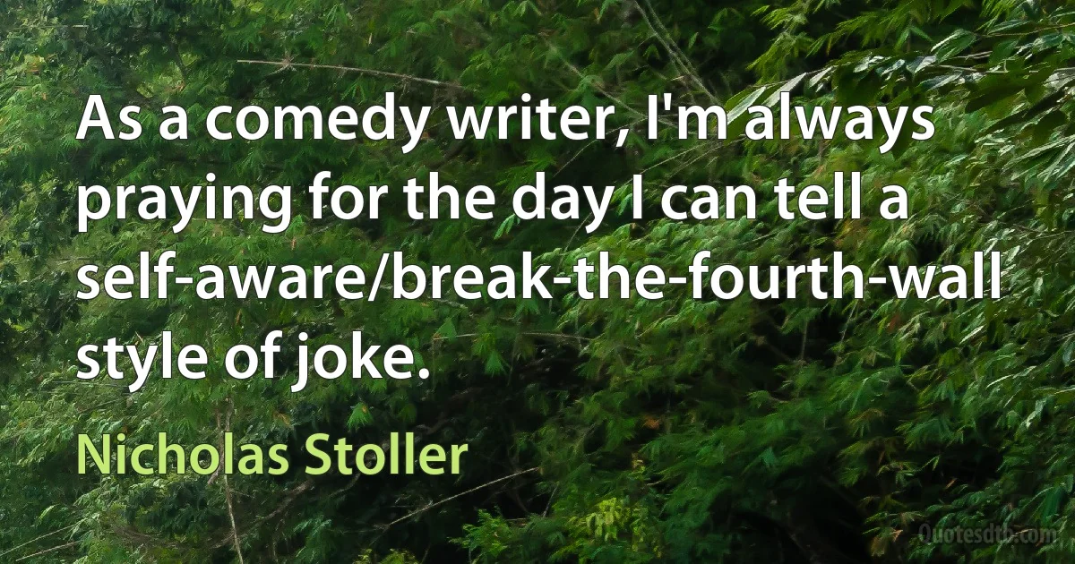 As a comedy writer, I'm always praying for the day I can tell a self-aware/break-the-fourth-wall style of joke. (Nicholas Stoller)