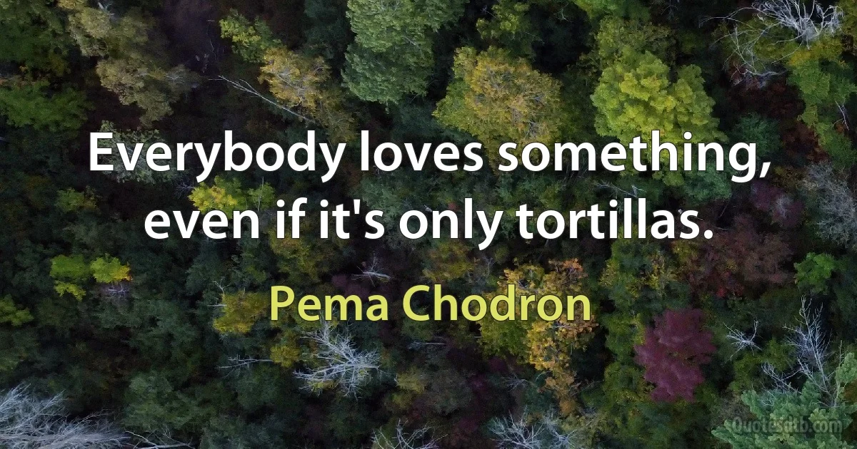 Everybody loves something, even if it's only tortillas. (Pema Chodron)