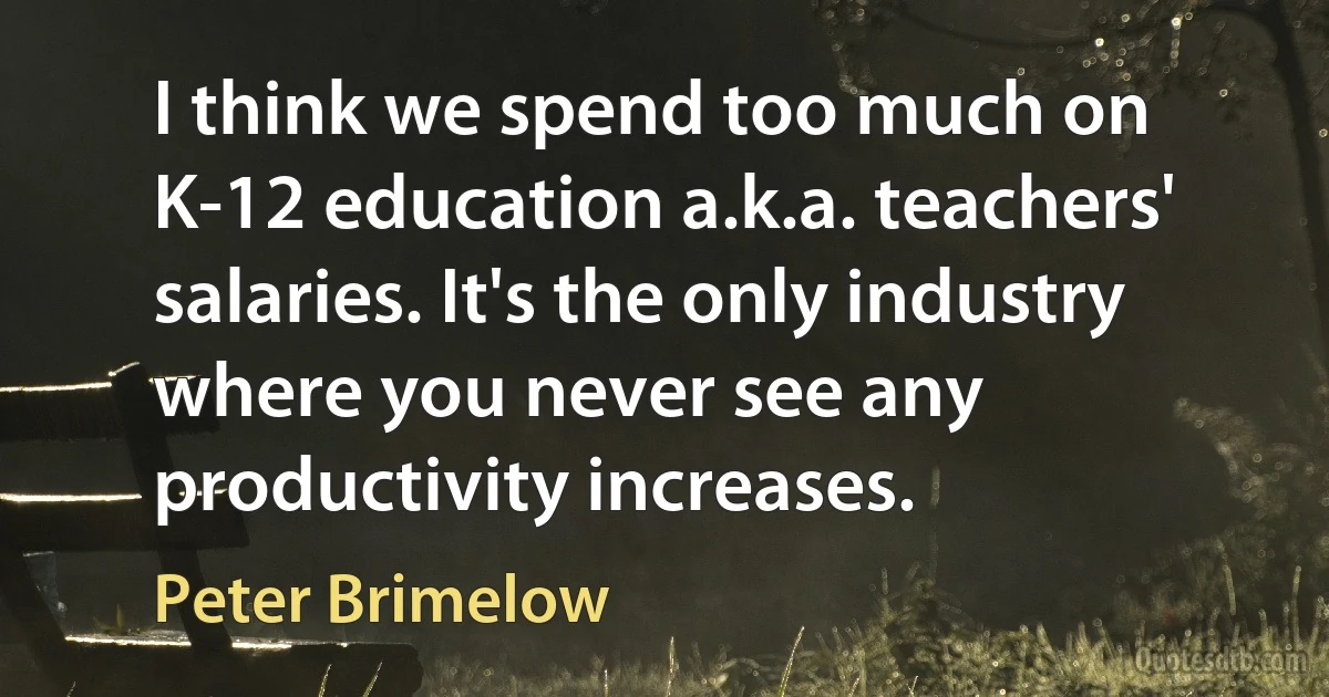 I think we spend too much on K-12 education a.k.a. teachers' salaries. It's the only industry where you never see any productivity increases. (Peter Brimelow)