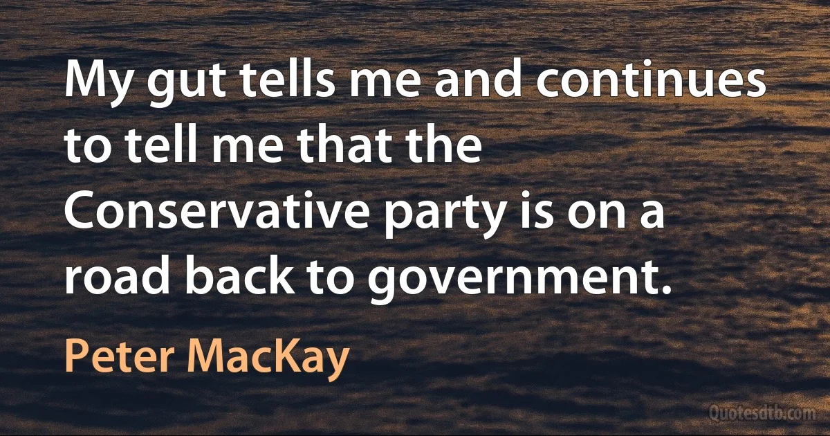 My gut tells me and continues to tell me that the Conservative party is on a road back to government. (Peter MacKay)