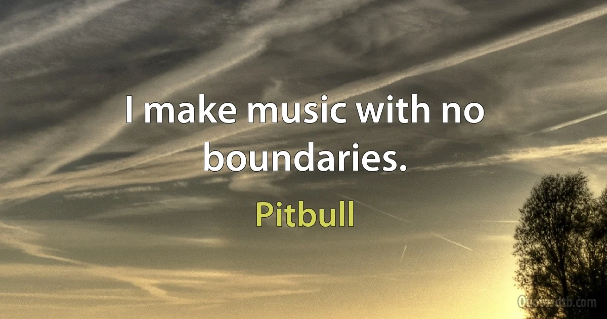 I make music with no boundaries. (Pitbull)