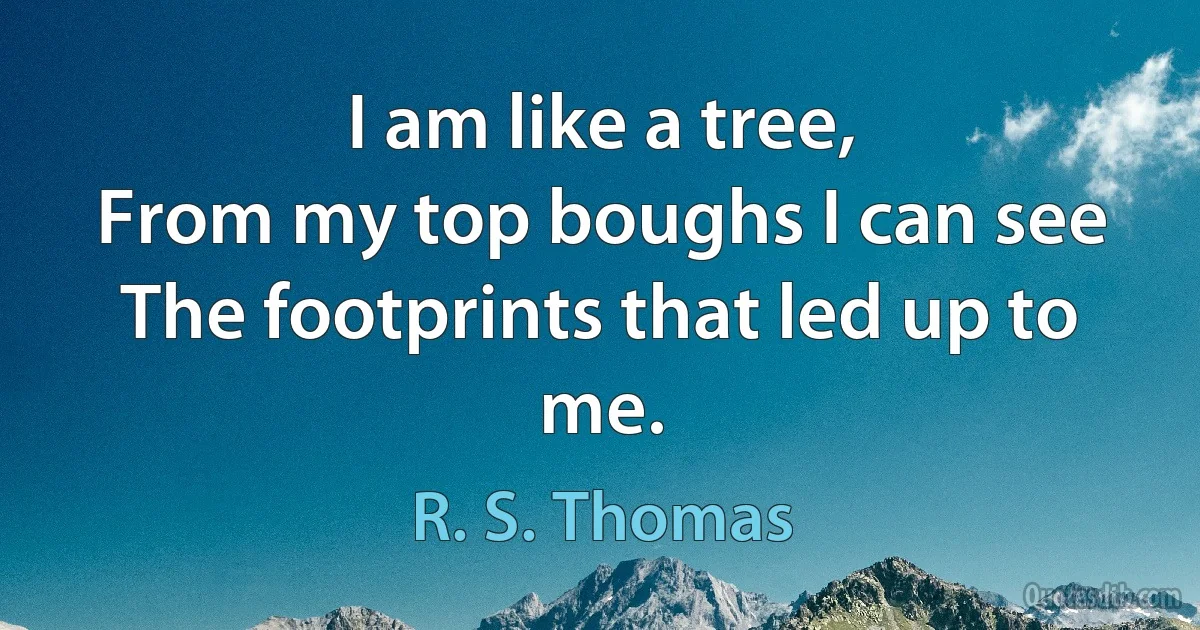 I am like a tree,
From my top boughs I can see
The footprints that led up to me. (R. S. Thomas)