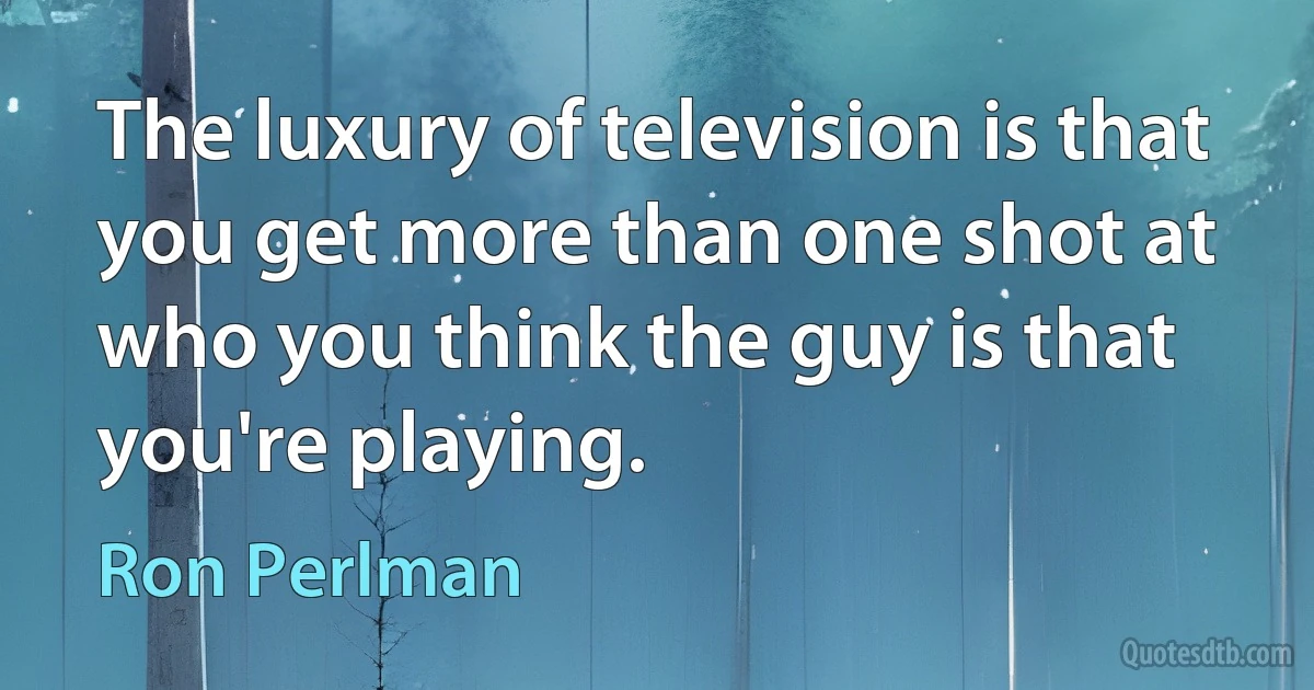 The luxury of television is that you get more than one shot at who you think the guy is that you're playing. (Ron Perlman)