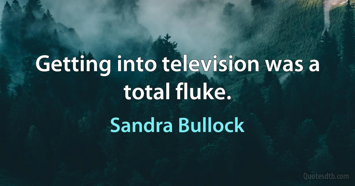 Getting into television was a total fluke. (Sandra Bullock)