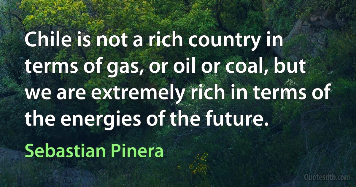 Chile is not a rich country in terms of gas, or oil or coal, but we are extremely rich in terms of the energies of the future. (Sebastian Pinera)