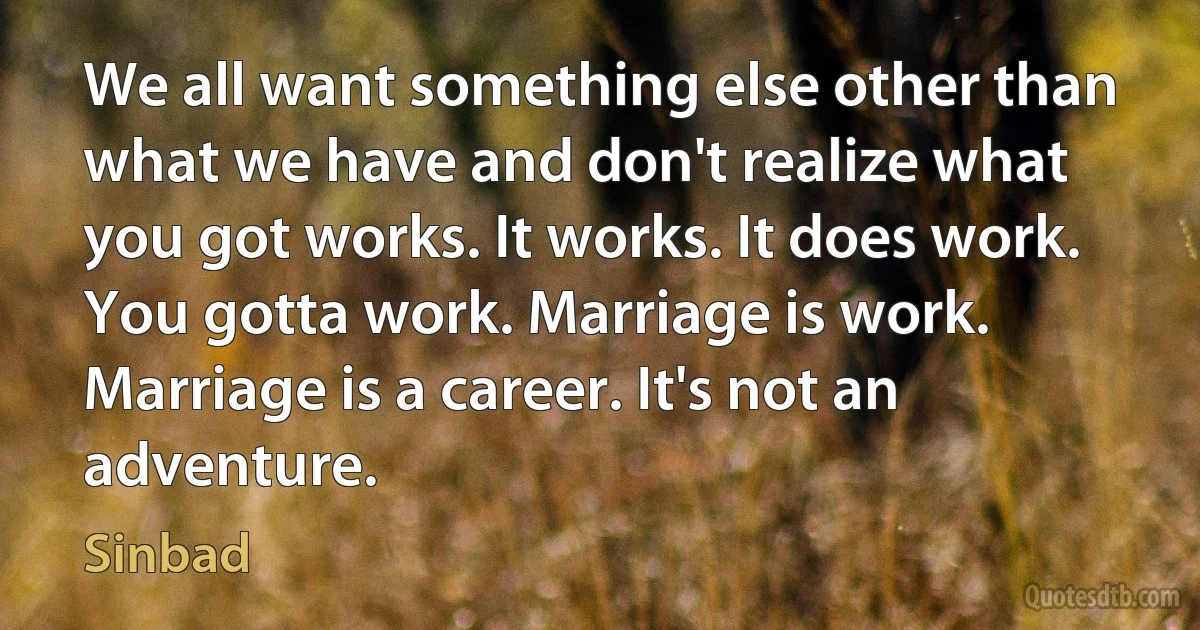 We all want something else other than what we have and don't realize what you got works. It works. It does work. You gotta work. Marriage is work. Marriage is a career. It's not an adventure. (Sinbad)