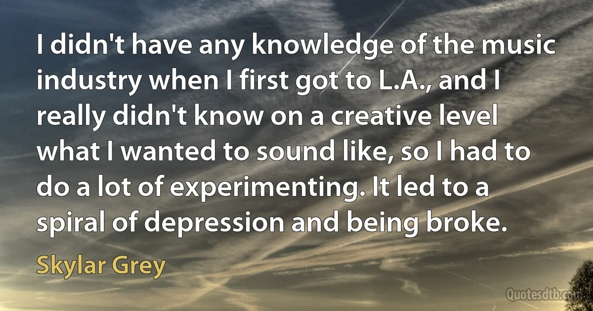 I didn't have any knowledge of the music industry when I first got to L.A., and I really didn't know on a creative level what I wanted to sound like, so I had to do a lot of experimenting. It led to a spiral of depression and being broke. (Skylar Grey)