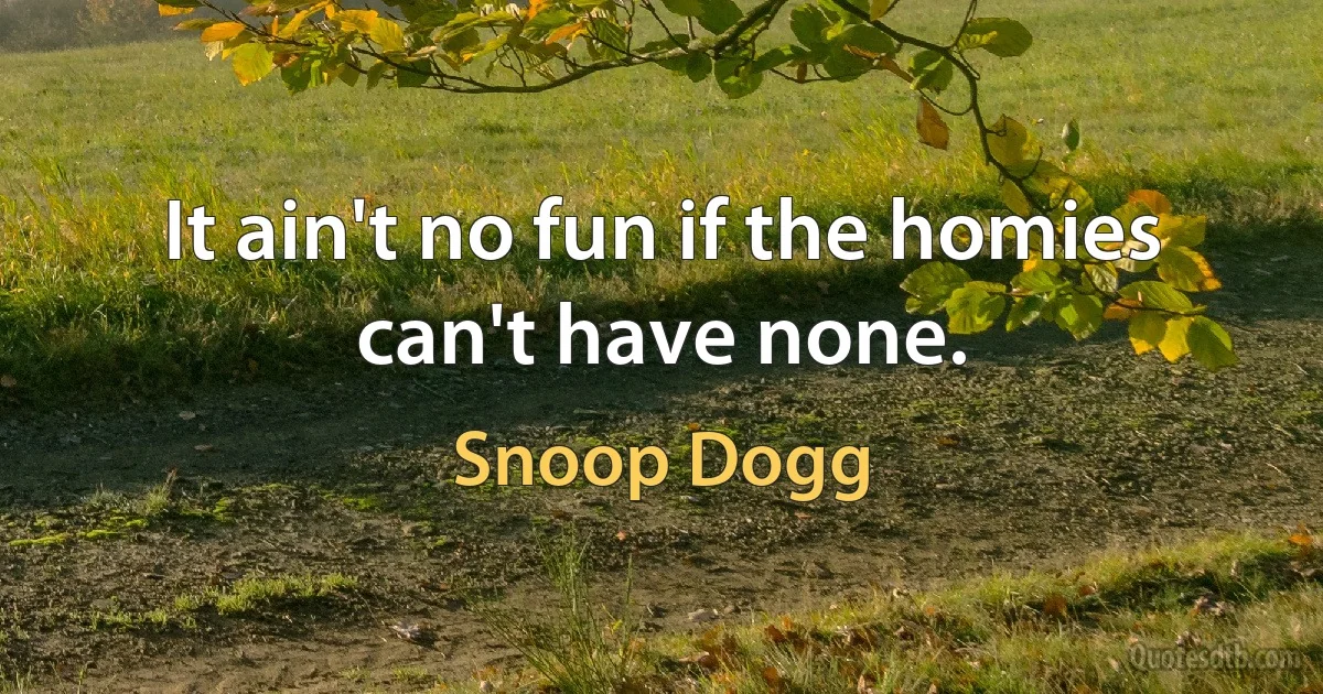 It ain't no fun if the homies can't have none. (Snoop Dogg)