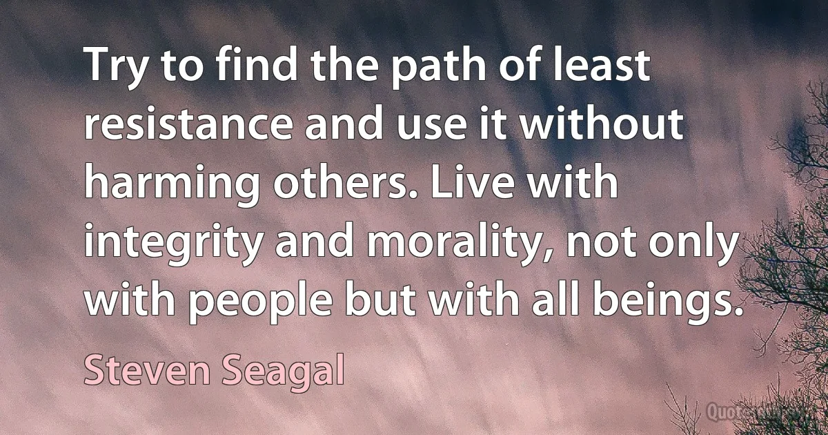 Try to find the path of least resistance and use it without harming others. Live with integrity and morality, not only with people but with all beings. (Steven Seagal)