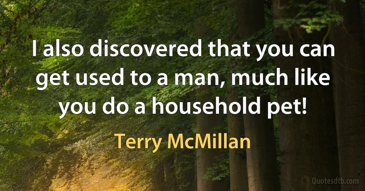 I also discovered that you can get used to a man, much like you do a household pet! (Terry McMillan)