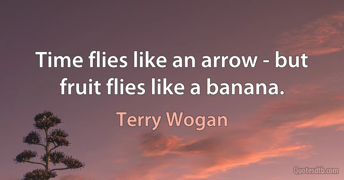 Time flies like an arrow - but fruit flies like a banana. (Terry Wogan)