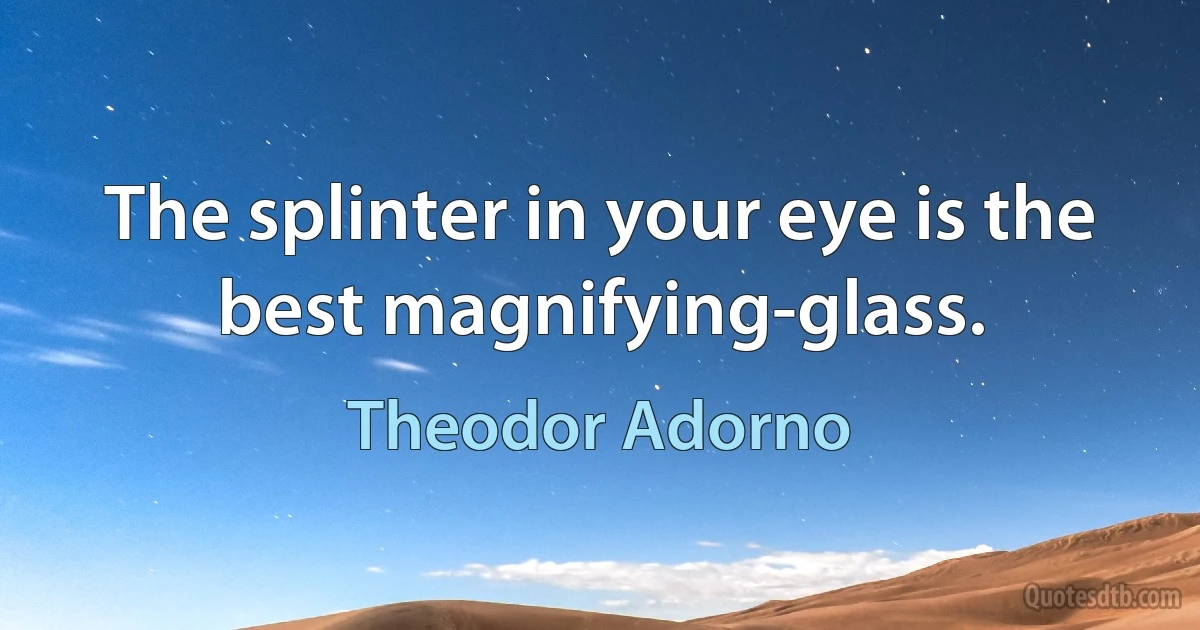 The splinter in your eye is the best magnifying-glass. (Theodor Adorno)