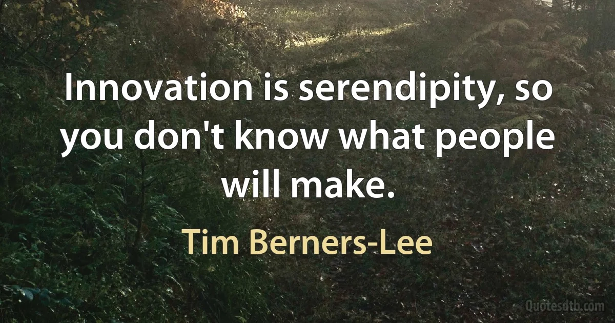 Innovation is serendipity, so you don't know what people will make. (Tim Berners-Lee)