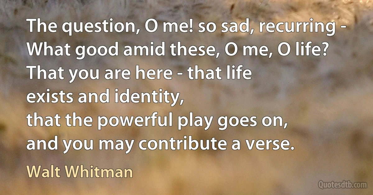 The question, O me! so sad, recurring -
What good amid these, O me, O life?
That you are here - that life
exists and identity,
that the powerful play goes on,
and you may contribute a verse. (Walt Whitman)