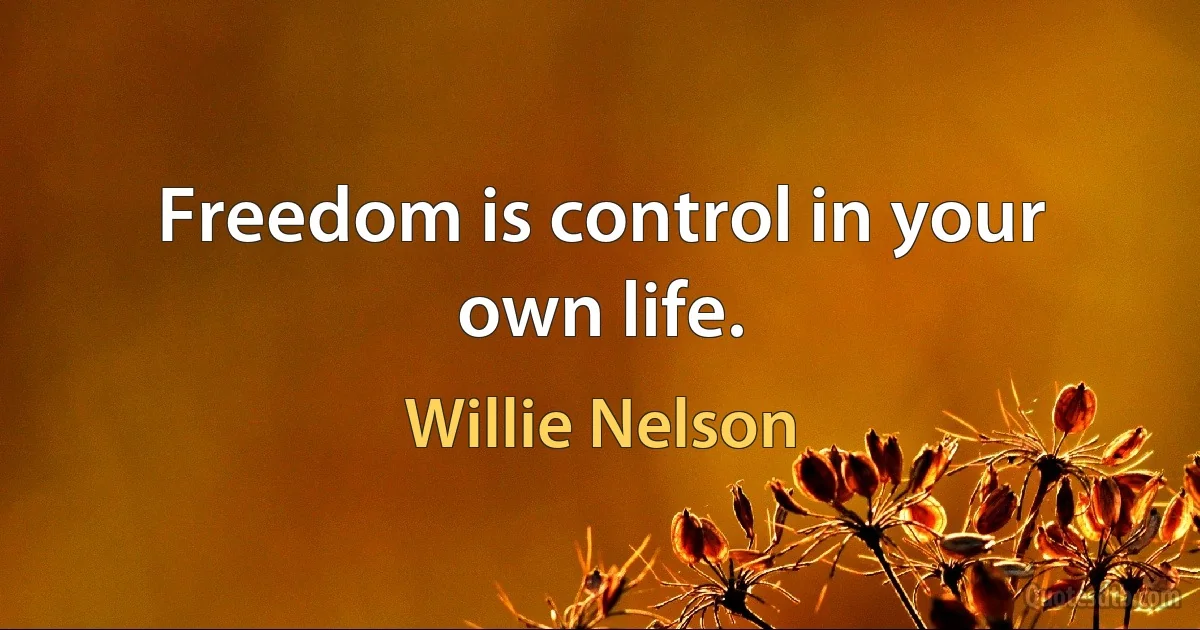 Freedom is control in your own life. (Willie Nelson)