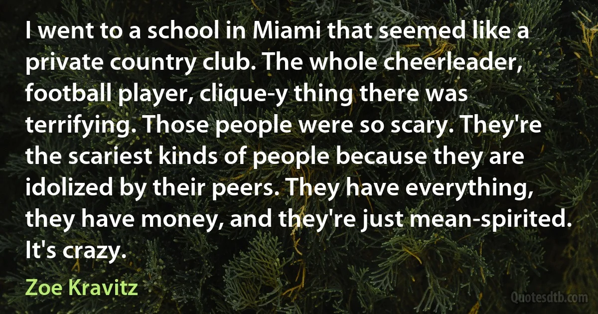 I went to a school in Miami that seemed like a private country club. The whole cheerleader, football player, clique-y thing there was terrifying. Those people were so scary. They're the scariest kinds of people because they are idolized by their peers. They have everything, they have money, and they're just mean-spirited. It's crazy. (Zoe Kravitz)