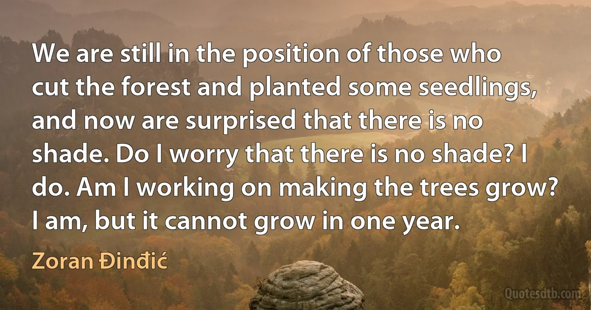 We are still in the position of those who cut the forest and planted some seedlings, and now are surprised that there is no shade. Do I worry that there is no shade? I do. Am I working on making the trees grow? I am, but it cannot grow in one year. (Zoran Đinđić)