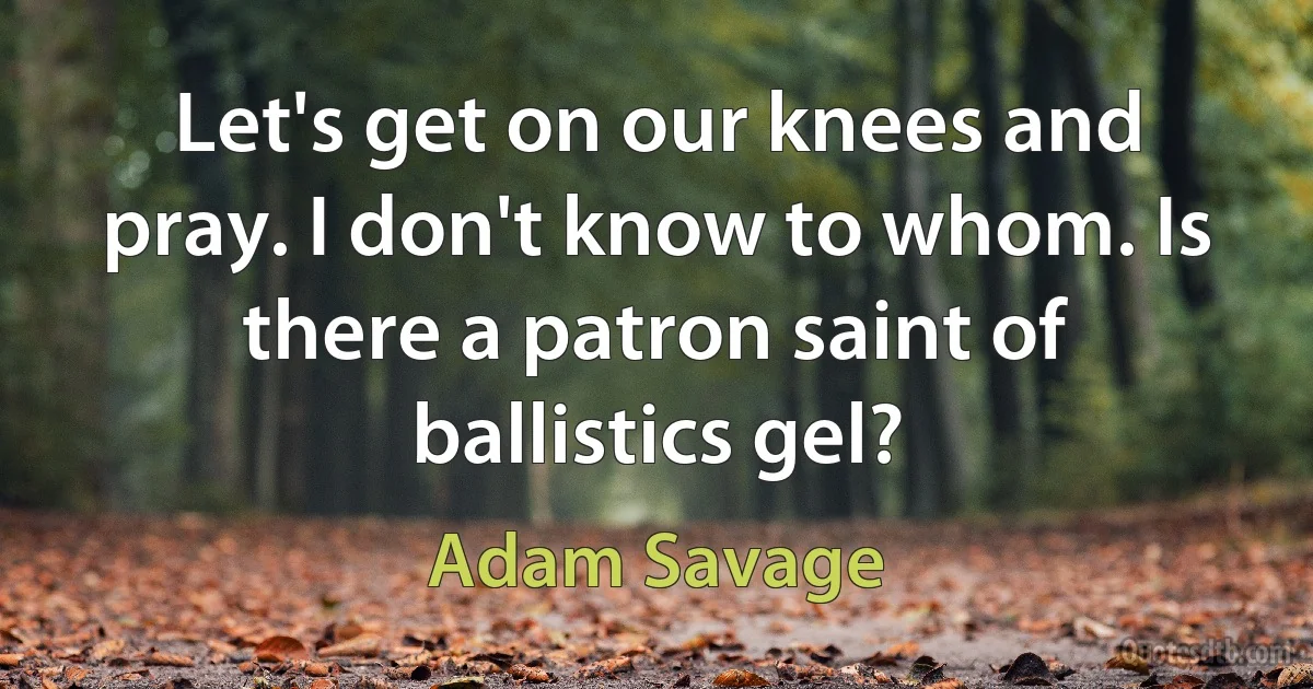 Let's get on our knees and pray. I don't know to whom. Is there a patron saint of ballistics gel? (Adam Savage)