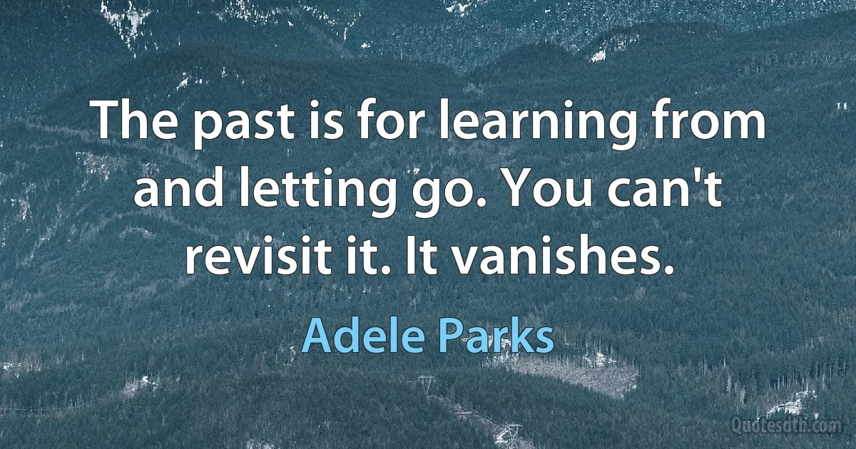 The past is for learning from and letting go. You can't revisit it. It vanishes. (Adele Parks)