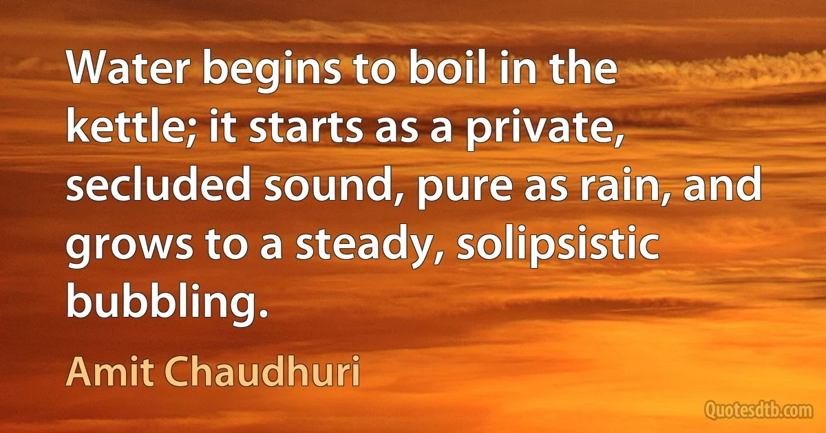 Water begins to boil in the kettle; it starts as a private, secluded sound, pure as rain, and grows to a steady, solipsistic bubbling. (Amit Chaudhuri)