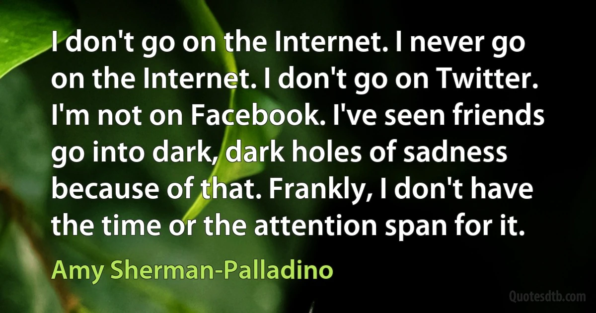 I don't go on the Internet. I never go on the Internet. I don't go on Twitter. I'm not on Facebook. I've seen friends go into dark, dark holes of sadness because of that. Frankly, I don't have the time or the attention span for it. (Amy Sherman-Palladino)